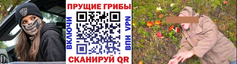 Псилоцибиновые грибы Cubensis Дубна