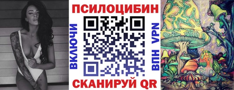 KRAKEN онион  Дубна  Галлюциногенные грибы MAGIC MUSHROOMS 