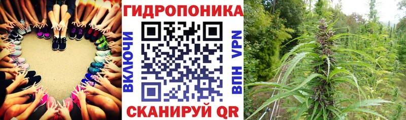 Бошки Шишки сатива  OMG как зайти  Дубна 